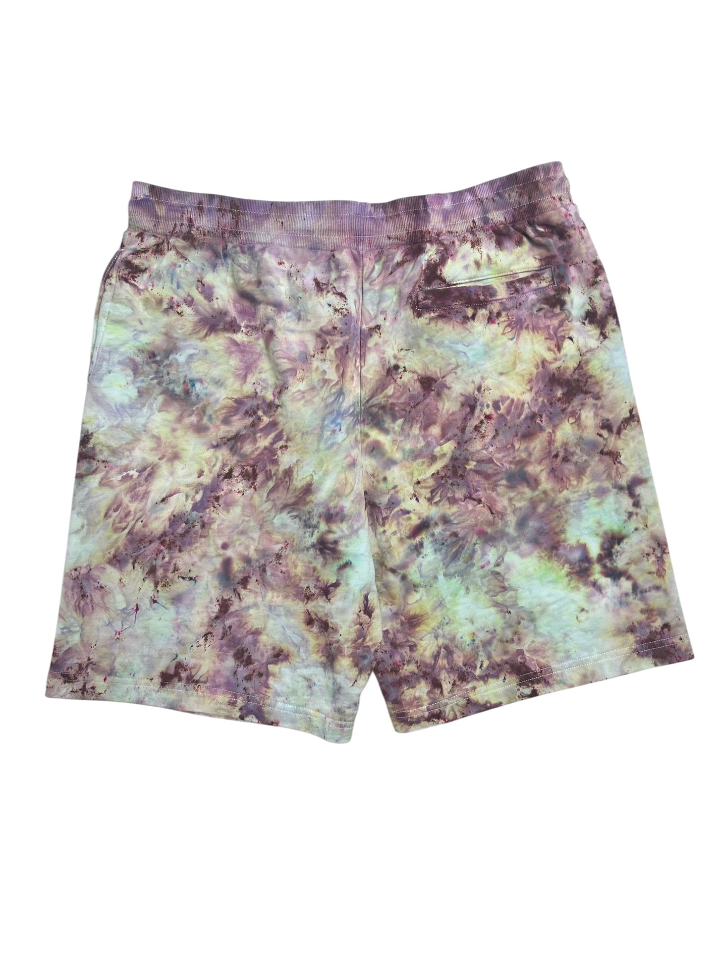 "Crested Gecko" Stadium Shorts