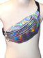 TTD 2-Zipper Fanny Pack